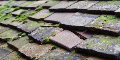 Broughton Gifford roof repair costs